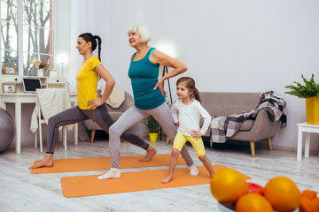 Nice pleasant women doing sports exercises together - Powered by Adobe