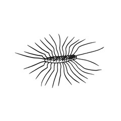 centipede vector doodle sketch isolated on white background