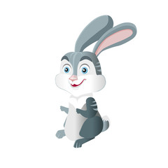 Bunny is sitting on a white background