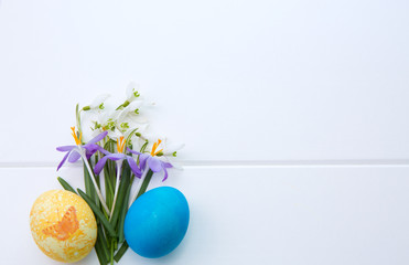 Spring snowdrop and purple crocus . Easter background.