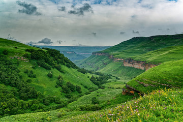 Bright mountain landscape. Panoramic view of the grassy highlands on a Sunny summer day. Caucasian mountains.