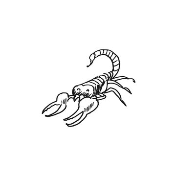 scorpio vector doodle sketch isolated on white background