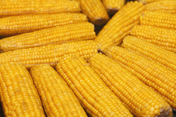 Close up boiling fresh corncobs