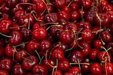 Fresh red cherries on retail market close up