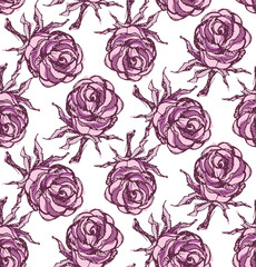 Hand drawn doodle rose floral pattern background