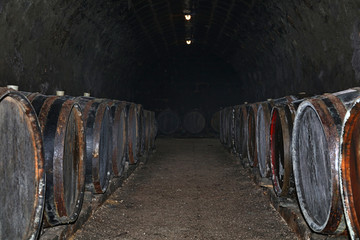 Rows of oak wood wine barrels in winery cellar