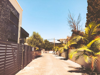 Private modern houses and palm trees on the streets in Rishon Le Zion, Israel