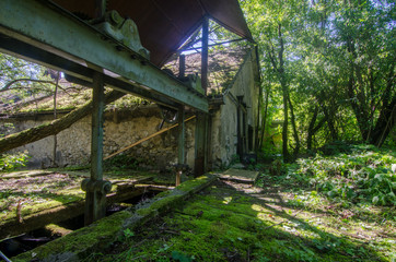 fabriksgebaeude in einem wald