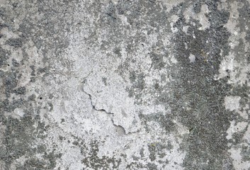 Obraz premium A texture of wall. Distressed background.
