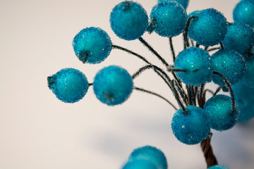 Branch of blue berries in hoarfrost on a white background. Texture. Background. Winter.