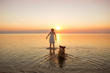 little girl is walking with a dog corgi