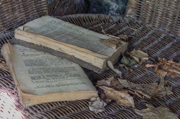 buecher in einer villa