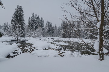Teich im Winter im Schnee mit Eis 