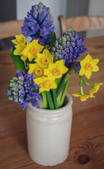 Daffodils and Hyacinths simple Spring Bouquet in stoneware pot, on kitchen table.