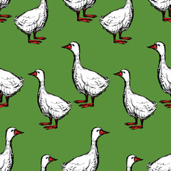 Seamless pattern of the drawn geese