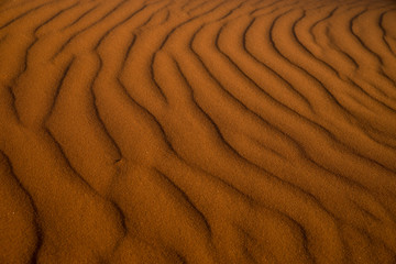 Fototapeta na wymiar ナミブ砂漠の砂紋