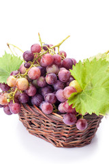 Grapes in the basket