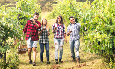 Young friends having fun walking at winery vineyard outdoors - Friendship concept with happy people...