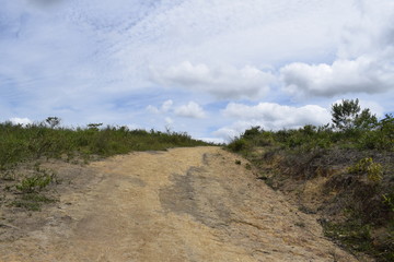 Estrada de terra em paisagem rural