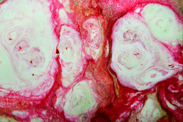 background of colorful candy