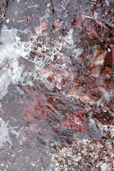Brown leaves on the floor covered in ice.
