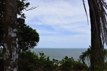 Horizonte costeiro de mar, vegetação tropical e céu azul. Porto Seguro, Bahia.