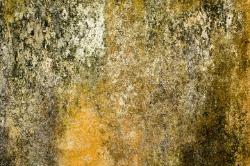 an old yellow gray white wall with spots of mold and black moss. rough surface texture