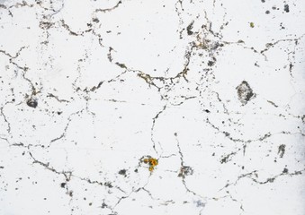 A texture of wall. Distressed background.