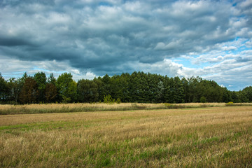 Obraz premium Stubble in the field, forest and dark rain clouds