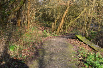 Country pathway in the UK