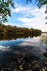 lake with trees on the shore. the mirror surface of the lake. autumn composition.