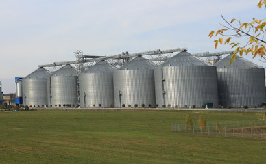 Granary plant agriculure .