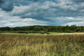 Fototapeta premium Dry grass in a meadow, green forest and dark rainy clouds
