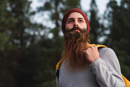 Portrait of bearded man in a forest