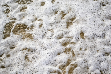 white foam with air bubbles