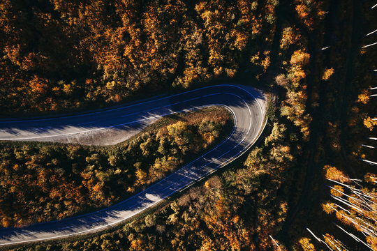 Austria, Lower Austria, Vienna Woods, Exelberg, aerial view on a sunny autumn day over a winding mountain road