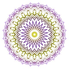 Indian floral mandala pattern.Vector Henna tattoo style. Can be used for textile, greeting card, coloring book, phone case print.