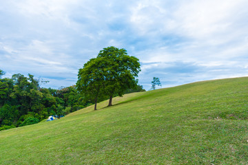 Viewpoint sea of mist, Beautiful mountain view with fog, sunrise scene, Doi Samer Dao
