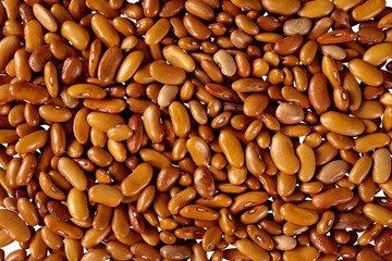 Fresh bunch of bean beans