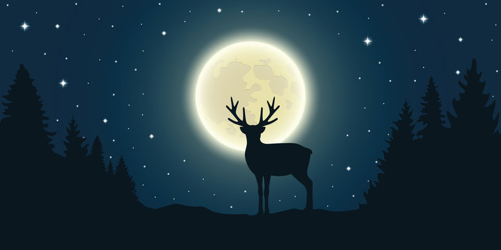 lonely reindeer in forest at full moon and starry sky vector illustration EPS10