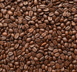 Roasted of coffee beans for background. Close-up.