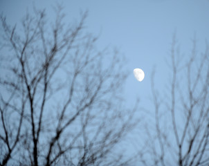 lune
