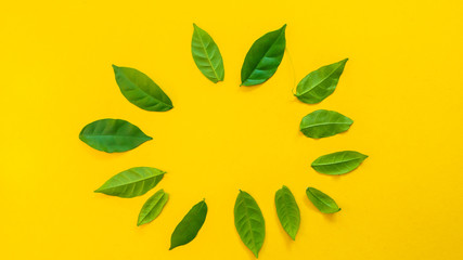 Fototapeta na wymiar Leaf symbol copyspace on yellow background.Creative concept