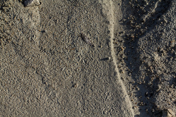 Fine sand wetted with rain water. Weighted sand. Sand used at playgrounds.