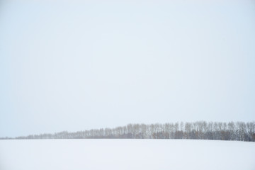 picturesque view of snow-covered field with trees at winter day  