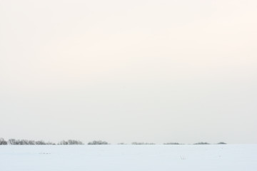 picturesque view of snow-covered field with trees at winter day  