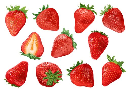 22 500 Best 苺 Images Stock Photos Vectors Adobe Stock 22 500 Best 苺 Images Stock Photos Vectors Adobe Stock