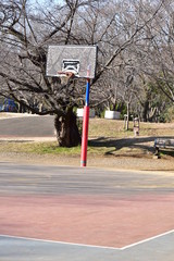 バスケットコート