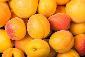 Apricots close up top view