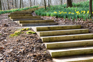 Newly Constructed Wooden Steps in an Informal Garden